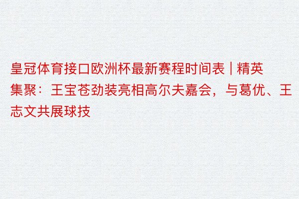 皇冠体育接口欧洲杯最新赛程时间表 | 精英集聚：王宝苍劲装亮相高尔夫嘉会，与葛优、王志文共展球技