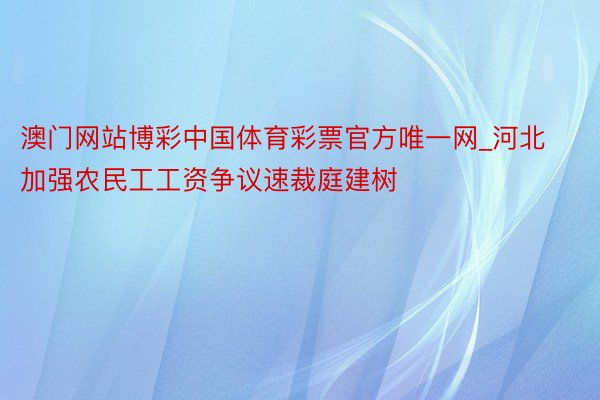 澳门网站博彩中国体育彩票官方唯一网_河北加强农民工工资争议速裁庭建树